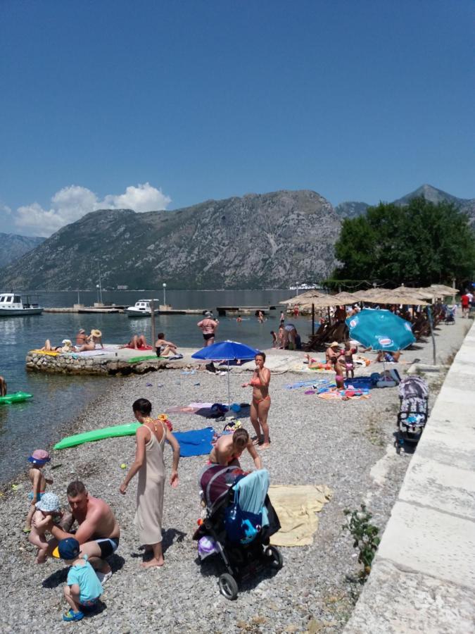 Apartman Deki Kotor