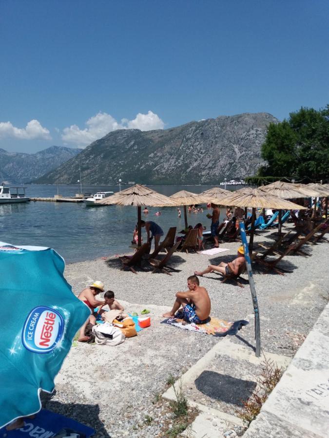 Apartman Deki Kotor