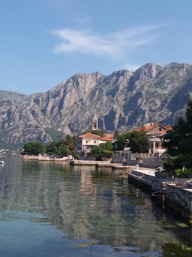 Deki Apartman Kotor